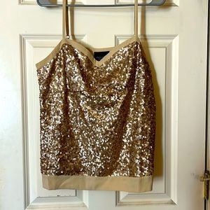 American Eagle Sequins Top